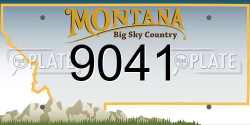 9041 Montana License Plate