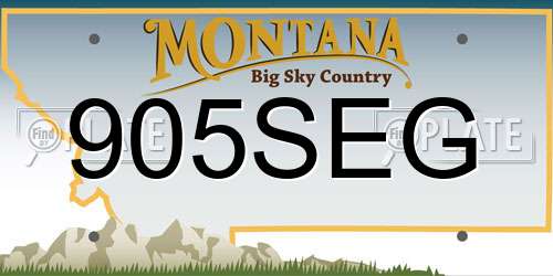 905SEG Montana License Plate