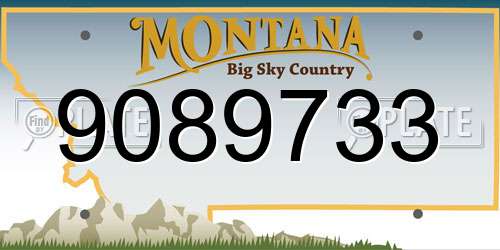 9089733 Montana License Plate