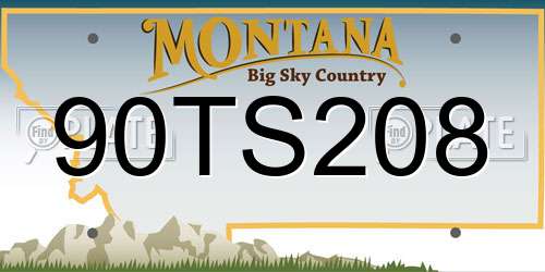 90TS208 Montana License Plate