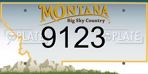 9123 Montana License Plate
