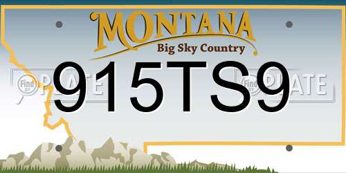 915TS9 Montana License Plate
