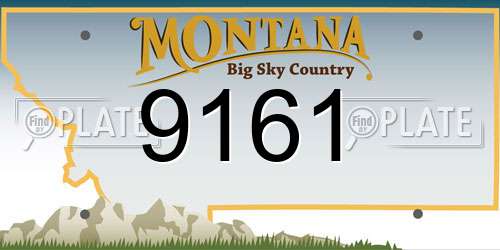 9161 Montana License Plate
