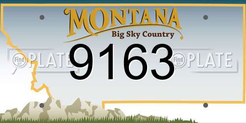 9163 Montana License Plate