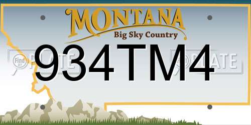 934TM4 Montana License Plate