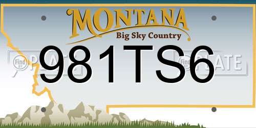 981TS6 Montana License Plate