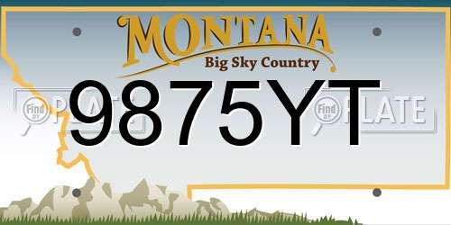 9875YT Montana License Plate