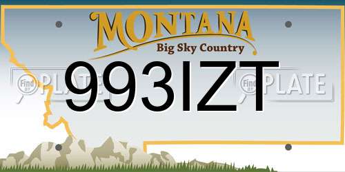 993IZT Montana License Plate