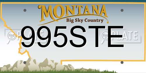 995STE Montana License Plate
