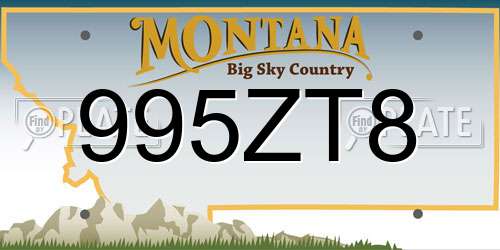995ZT8 Montana License Plate