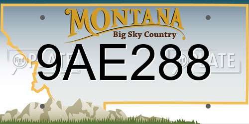 9AE288 Montana License Plate