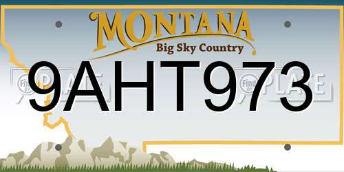 9AHT973 Montana License Plate