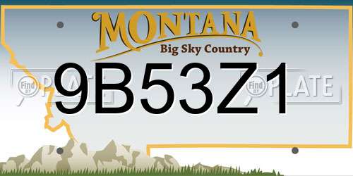 9B53Z1 Montana License Plate