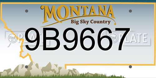 9B9667 Montana License Plate