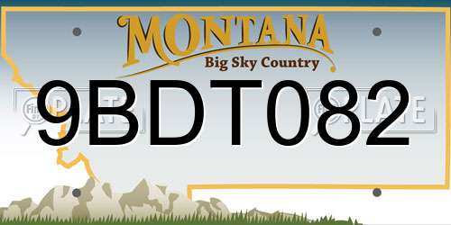 9BDT082 Montana License Plate