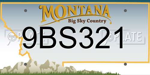 9BS321 Montana License Plate