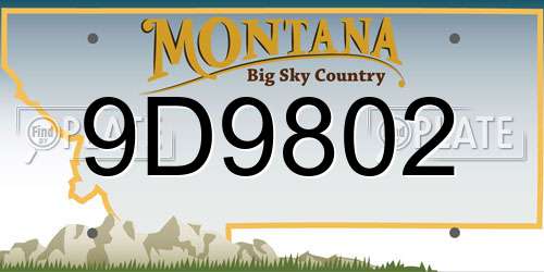 9D9802 Montana License Plate