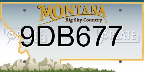 9DB677 Montana License Plate