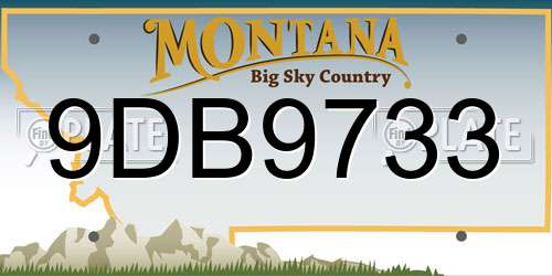 9DB9733 Montana License Plate