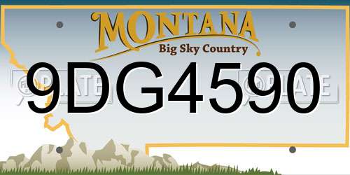 9DG4590 Montana License Plate
