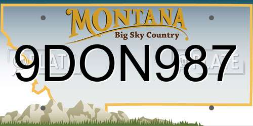 9DON987 Montana License Plate