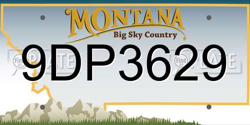 9DP3629 Montana License Plate