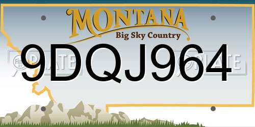 9DQJ964 Montana License Plate