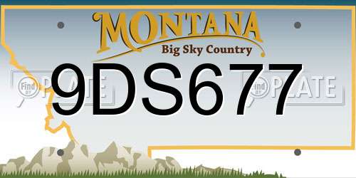 9DS677 Montana License Plate
