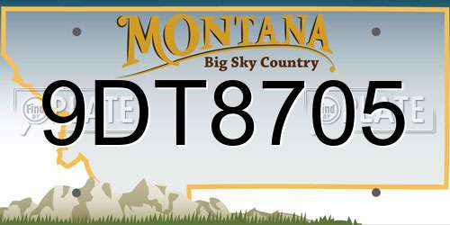 9DT8705 Montana License Plate