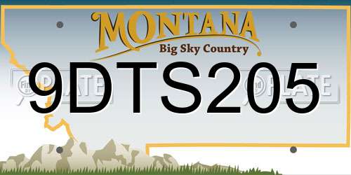 9DTS205 Montana License Plate