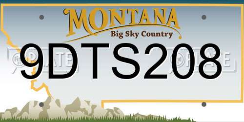 9DTS208 Montana License Plate