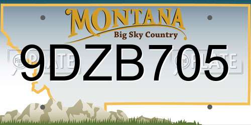 9DZB705 Montana License Plate