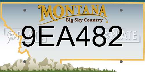 9EA482 Montana License Plate