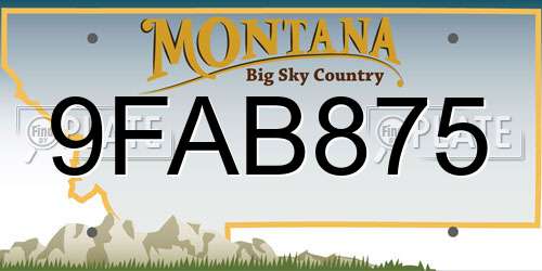 9FAB875 Montana License Plate