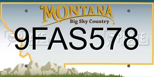 9FAS578 Montana License Plate