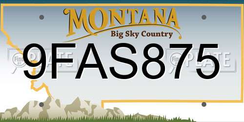 9FAS875 Montana License Plate