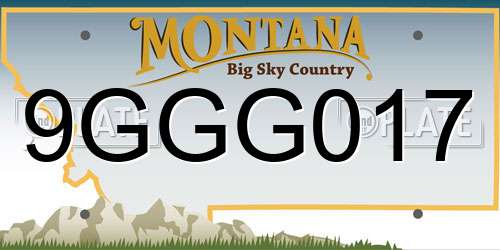 9GGG017 Montana License Plate