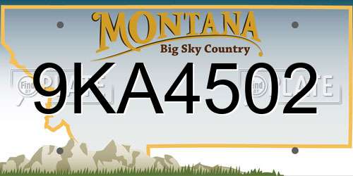 9KA4502 Montana License Plate