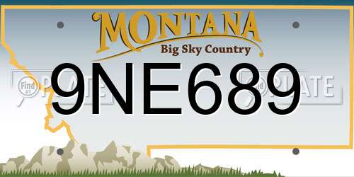 9NE689 Montana License Plate