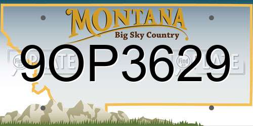 9OP3629 Montana License Plate