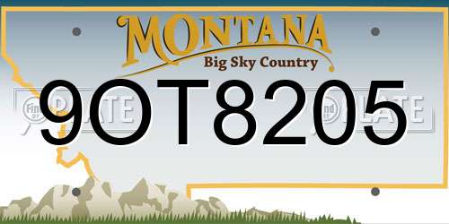 9OT8205 Montana License Plate