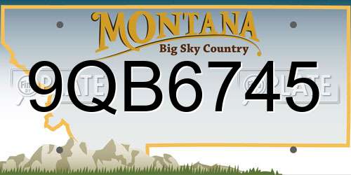 9QB6745 Montana License Plate