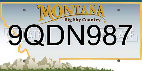 9QDN987 Montana License Plate
