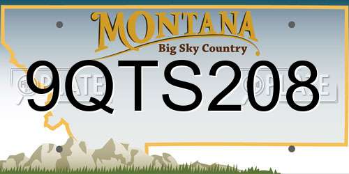 9QTS208 Montana License Plate