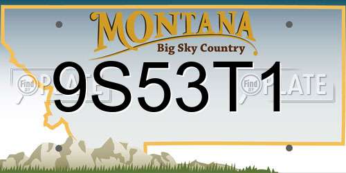 9S53T1 Montana License Plate