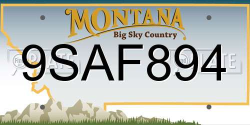 9SAF894 Montana License Plate