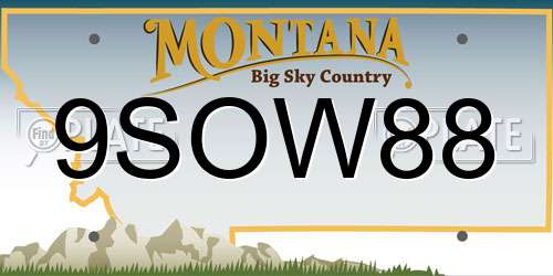 9SOW88 Montana License Plate