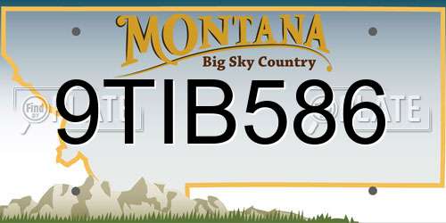 9TIB586 Montana License Plate