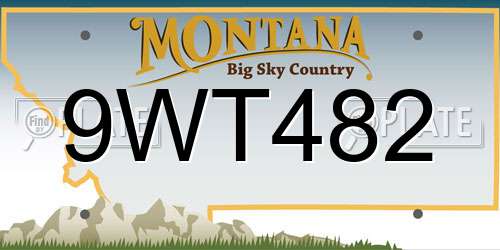 9WT482 Montana License Plate
