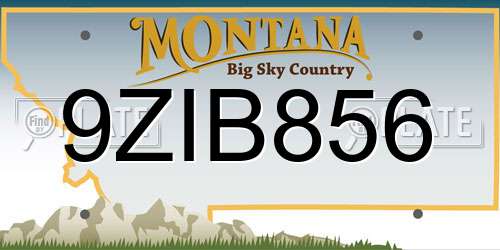 9ZIB856 Montana License Plate